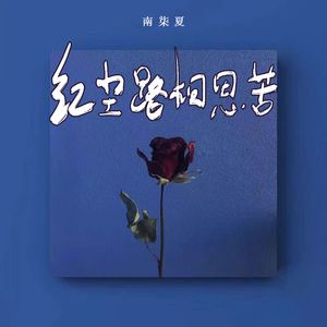 红尘路相思苦