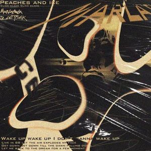 这次我在风里等你