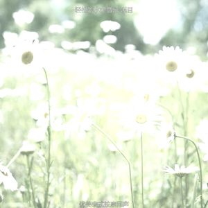 抚慰的泰式按摩回忆