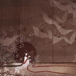 无处安放完整版