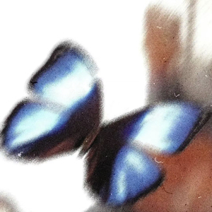 Jessiya（Cover KUAN）