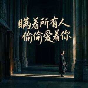 瞒着所有人偷偷爱着你