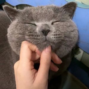 喷泉（翻自 ZzHhOoUuZzHhAaNnGgYu）