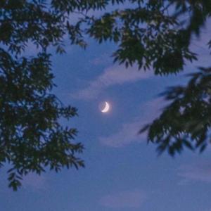 梁老师Tsong-不如不见面（大心 / 浪漫患者 remix）