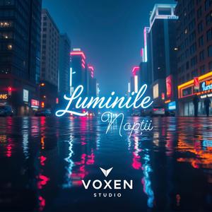 Luminile Nopții (Official Audio)