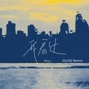 我看过(DJ小兰 ProgHouse Remix)