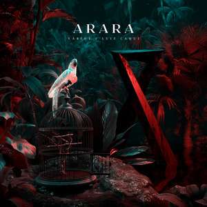 Arara