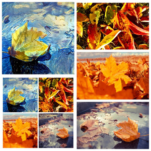 Falling Leaves for Théodoline