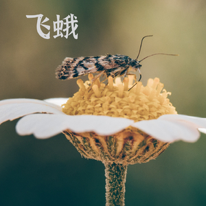 到处