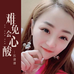 难免会心酸 (伴奏)