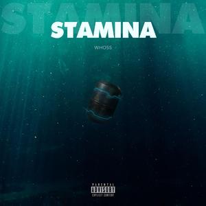Stamina