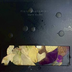 You'll See Me Return to the City of Fury