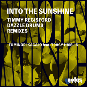 Into The Sunshine (Dazzle Drums Remix)