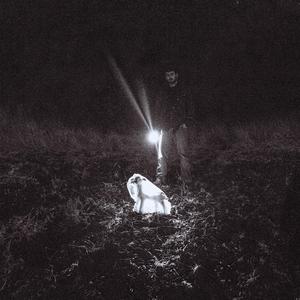 Onde Vivem os Carneiros