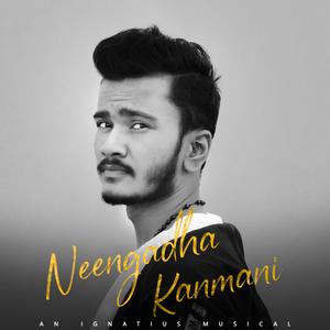 Neengadha Kanmani