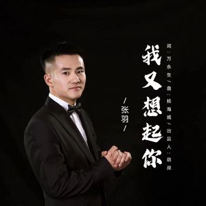 我又想起你（男版）