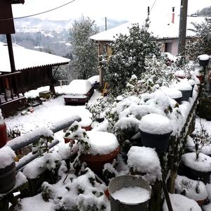 The Cardinal visits Llantamartín