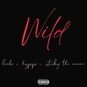 Wild (feat. Sticky The Menace & Hyppszn)