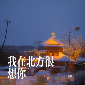我在北方很想你