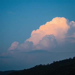 晚云吻不到晨花 (Cover 泡芙芙Scarlett)