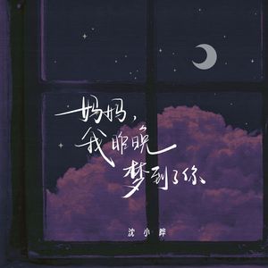妈妈，我昨晚梦到了你