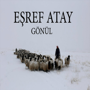 Bu Dere Buz Bağlamış