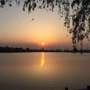 姑娘如今在何方