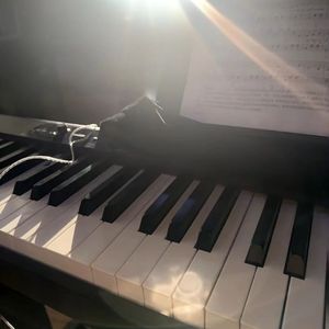 我感受到了生活