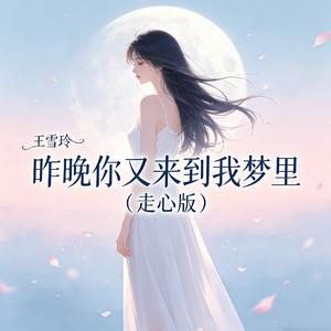 昨晚你又来到我梦里（走心版）