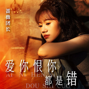 爱你恨你都是错 (DJ默涵版)