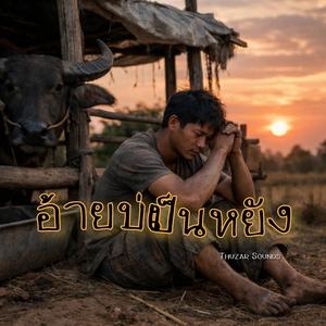 อ้ายบ่เป็นหยัง