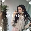 人生本无常聚散有定数 (DJ版)