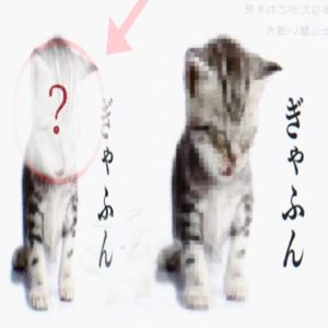 我还没想好