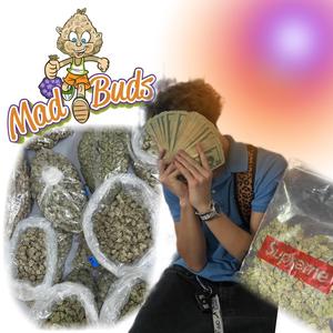poundz