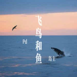 飞鸟和鱼（cover）