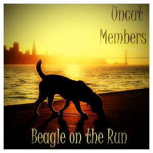 Beagle on the Run