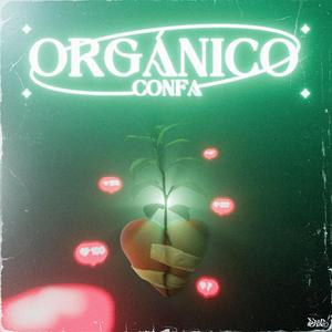 ORGÁNICO