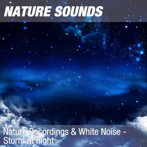 Nature Sounds for Sleep, Reiki & Ayurveda Massage (Heavy wind) 09
