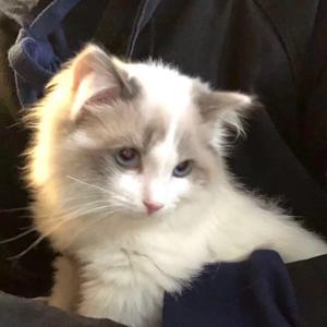 Letting Go(吉他片段）_1