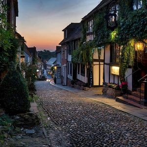 我的城市没有你