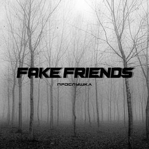 FAKE FRIENDS
