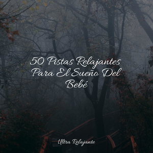 Mañanas Junto Al Mar