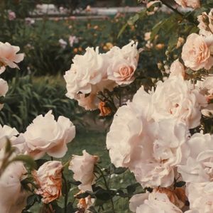 写给你的歌（prod by ZCBEAT）