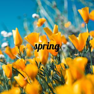 Spring