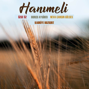 Darıldın Mı Cicim Bana