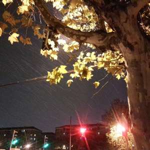 月亮代表我的心