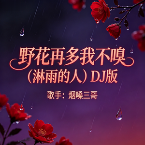 野花再多我不嗅（淋雨的人）（DJ版）
