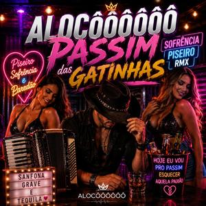 “Passim das Gatinhas (Sofrência Piseiro RMX)”