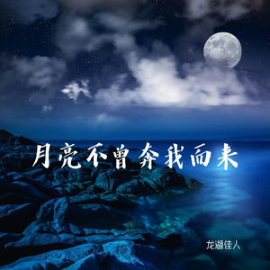 月亮不曾奔我而来
