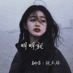 明明就（翻唱张木林）